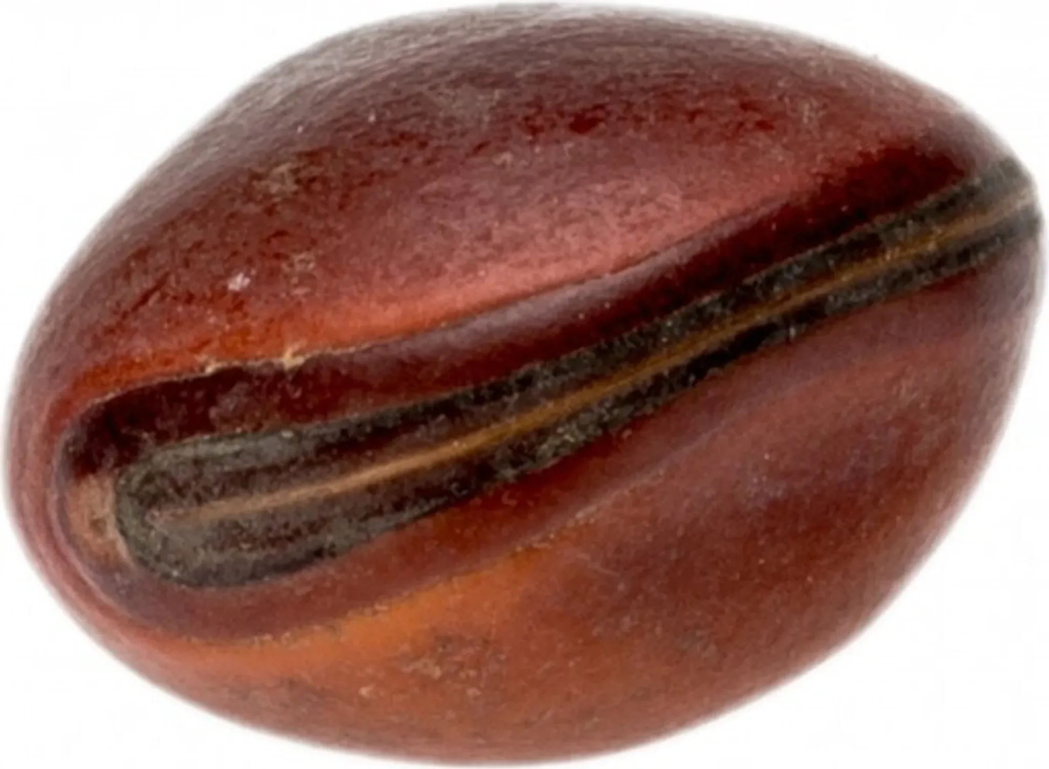 NaDeco – Bean „Olho de Boi“, hellbraun